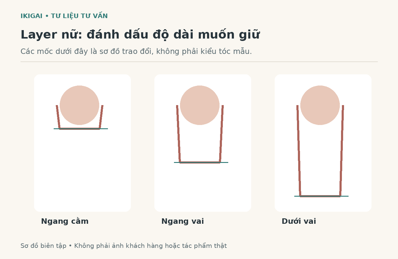 Sơ đồ minh hoạ layer moc do dai