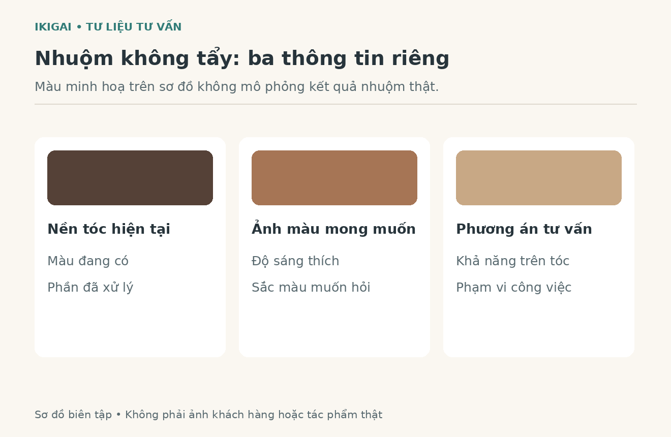 Sơ đồ minh hoạ nhuom nen va mau